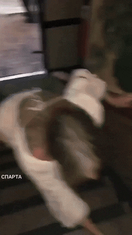 dirty minds only 42 gifs 6.html - 1 HD GIF | Premium Gallery 2022