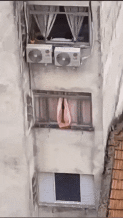 dirty minds only 42 gifs 6.html - 1 HD GIF | Premium Gallery 2022