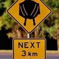 those are some spicy selfies 56 pics.html - 56 HD Photos | Premium Gallery 2022