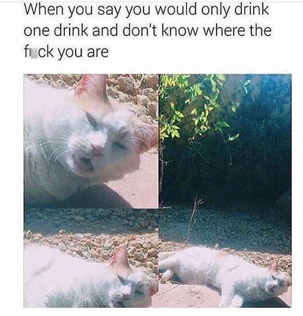 drinking again 38 pics 2 gifs 14.html - 38 HD GIF | Premium Gallery 2022