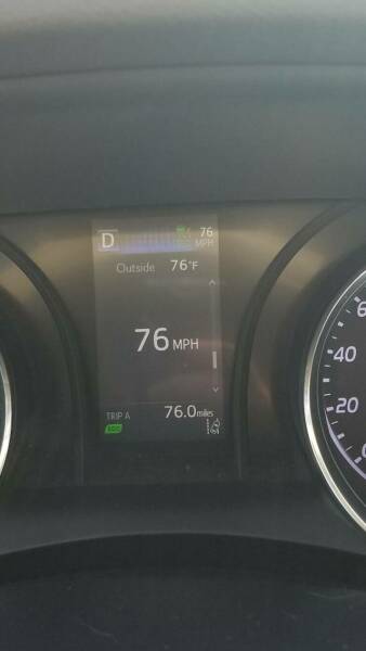 Photos That Will Make Your Brain Feel Good