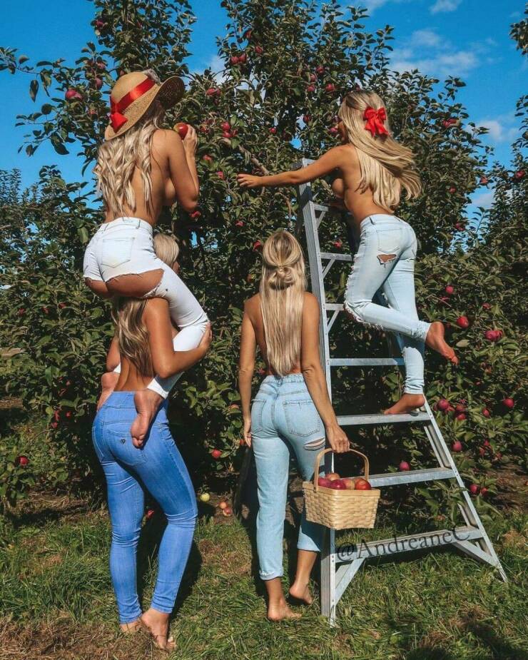 grownup corner 60 pics 17.html - 60 HD Photos | Premium Gallery 2022