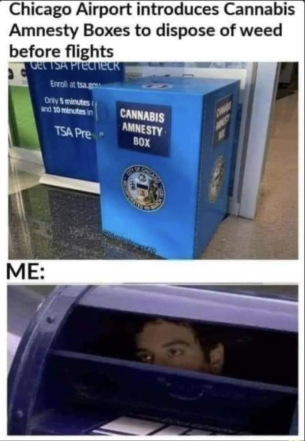 These Stoner Memes Are Way Too High!