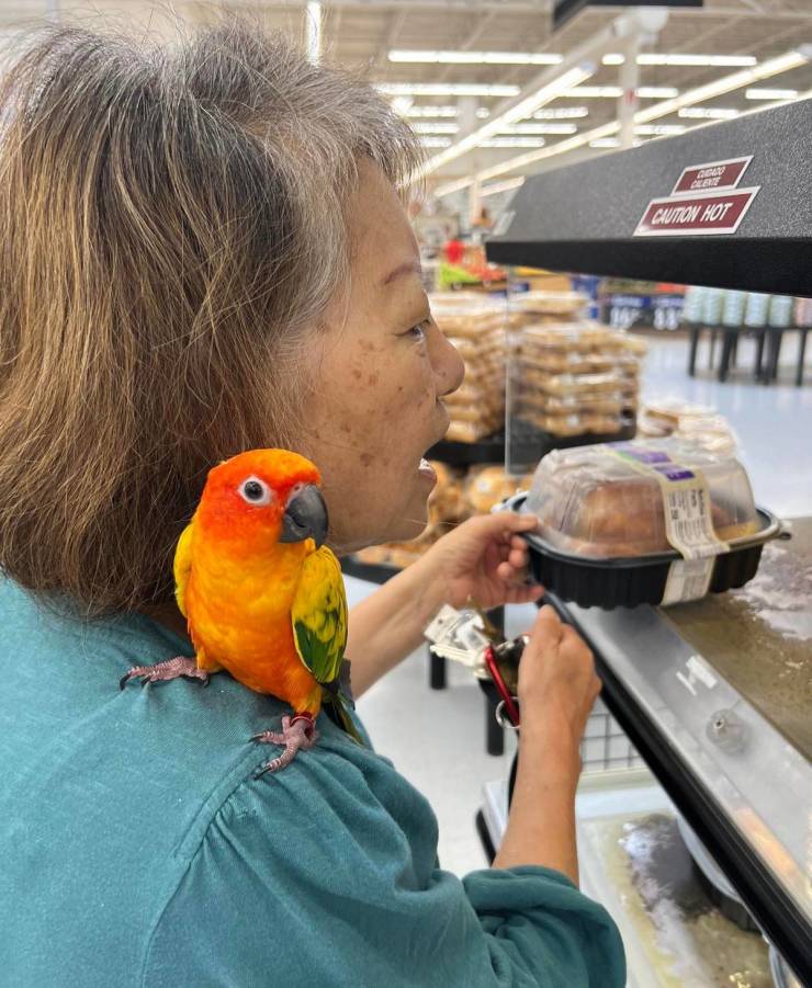 walmart is a wild place 44 pics 18.html - 44 HD Photos | Premium Gallery 2022