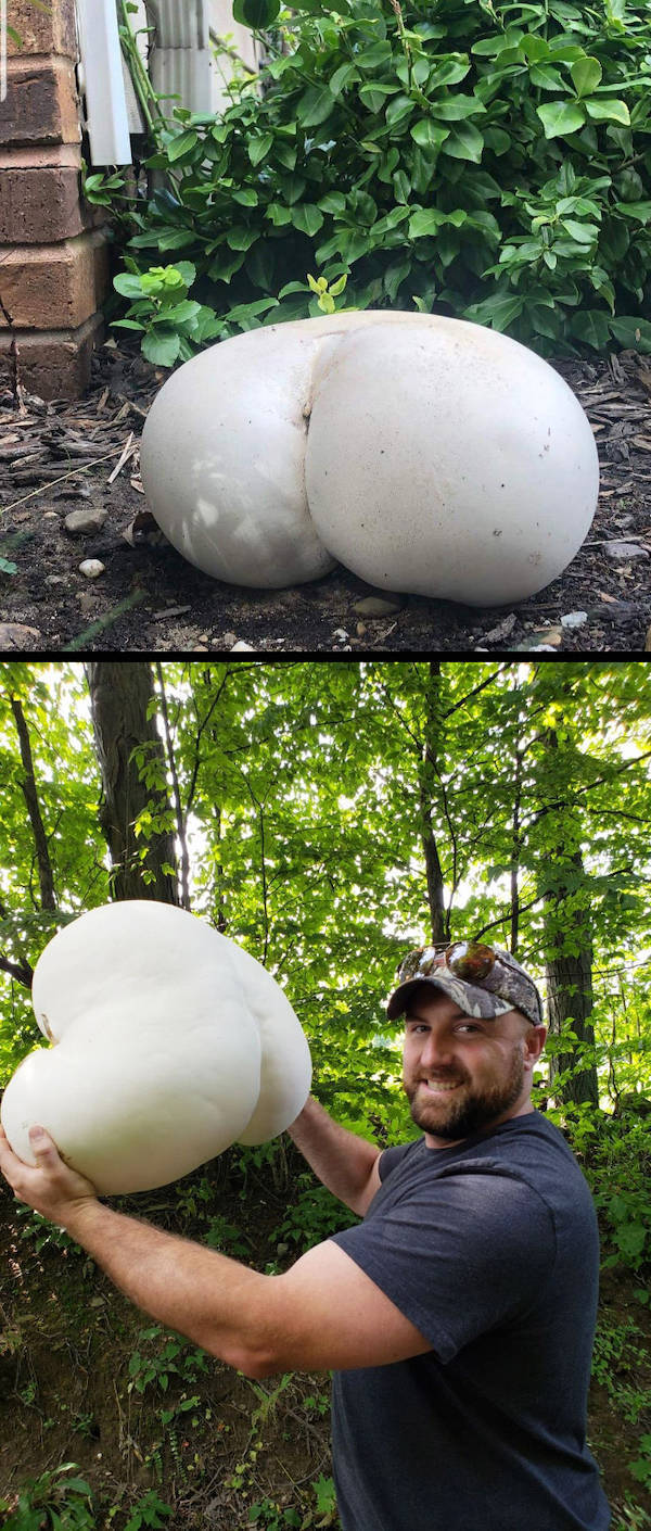 Just How Dirty Is Your Mind?