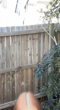 hot girls are here for you 42 gifs 6.html - 1 HD GIF | Premium Gallery 2022