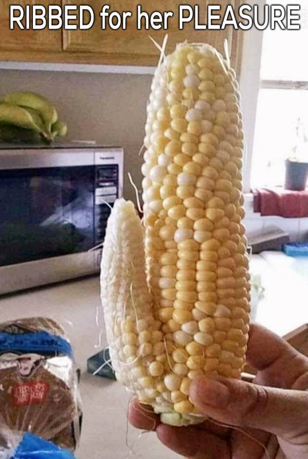 is your mind dirty enough 44 pics 15.html - 44 HD Photos | Premium Gallery 2022