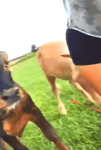 hot girls still fail 42 gifs 7.html - 1 HD GIF | Premium Gallery 2022