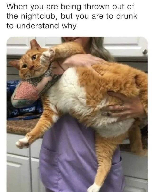 100 wasted 45 pics 21.html - 45 HD Photos | Premium Gallery 2022