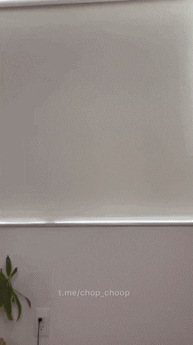 hot girls are here for you 42 gifs 3.html - 1 HD GIF | Premium Gallery 2022