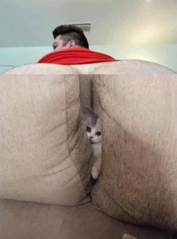 dirty mind come here 58 pics 3.html - 58 HD Photos | Premium Gallery 2022