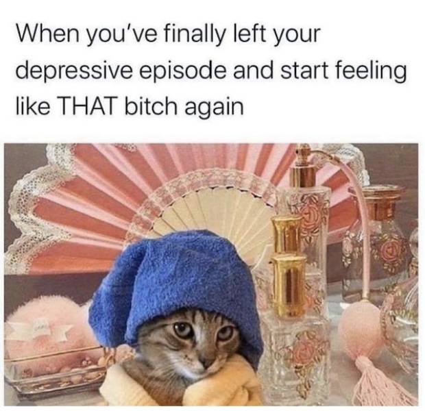 you know you like these nsfw memes 70 pics 32.html - 70 HD Photos | Premium Gallery 2022