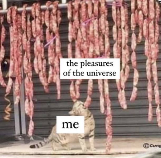 you know you like these nsfw memes 70 pics 32.html - 70 HD Photos | Premium Gallery 2022