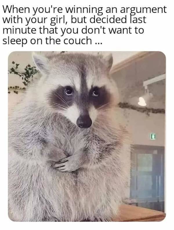 you know you like these nsfw memes 70 pics 32.html - 70 HD Photos | Premium Gallery 2022