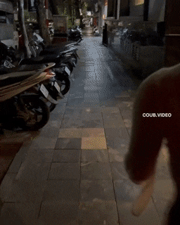 hot girls are here for you 42 gifs 5.html - 1 HD GIF | Premium Gallery 2022