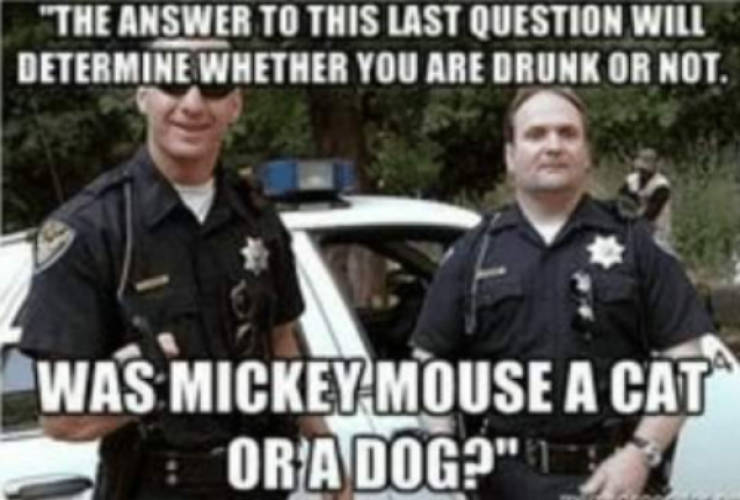 how drunk are they 67 pics 1 gif 29.html - 67 HD GIF | Premium Gallery 2022