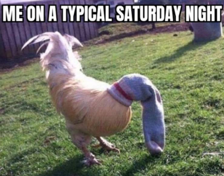 Are You Dirty Enough?