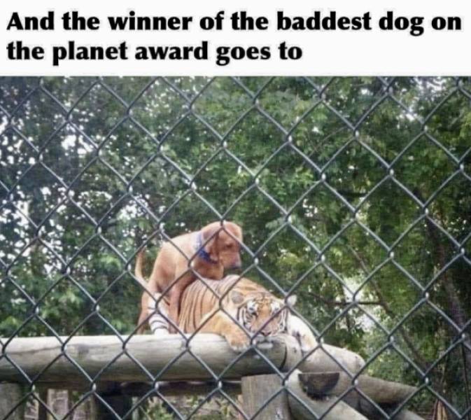 are you dirty enough 56 pics 16.html - 56 HD Photos | Premium Gallery 2022