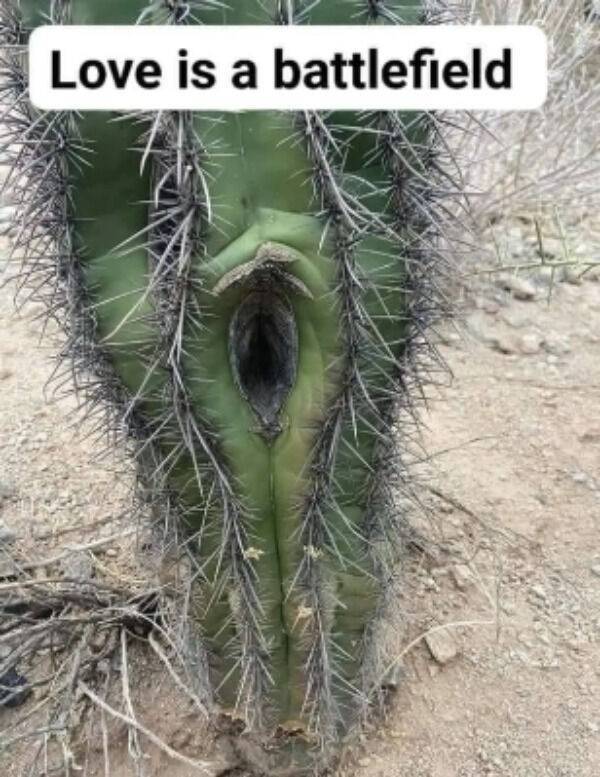 lets get dirty 52 pics 2 gifs 21.html - 52 HD GIF | Premium Gallery 2022