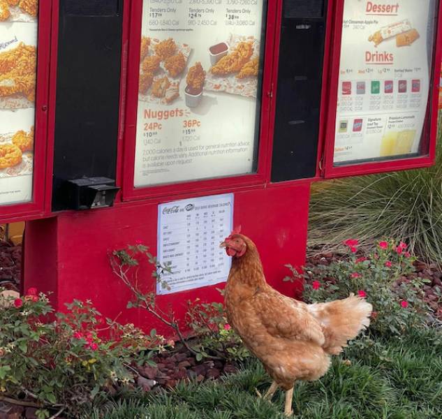 feed the dirty mind 49 pics 14.html - 49 HD Photos | Premium Gallery 2022