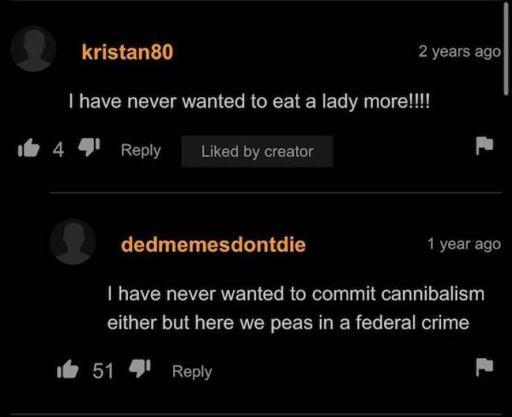 “Pornhub” Comment Section Is A Very Weird Place…
