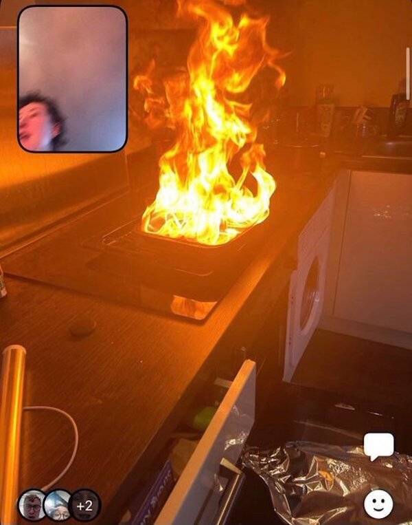 Filming Some Wild Stuff…