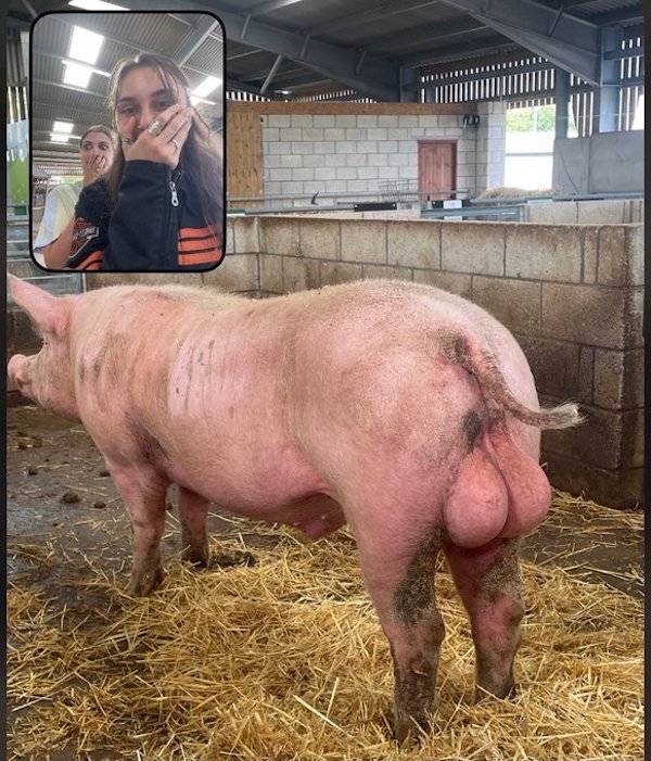 Filming Some Wild Stuff…