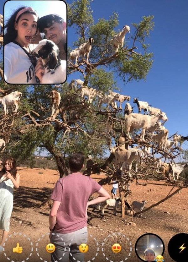 Filming Some Wild Stuff…