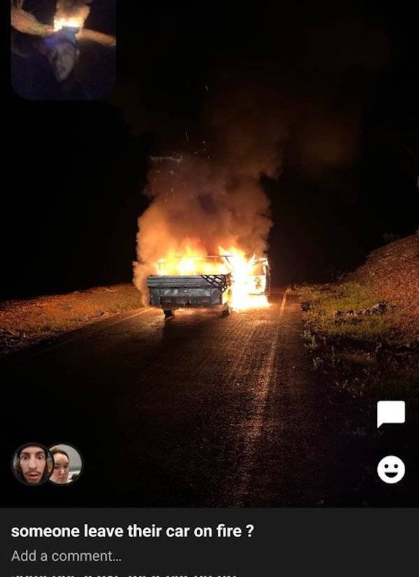 Filming Some Wild Stuff…