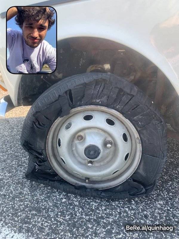 Filming Some Wild Stuff…