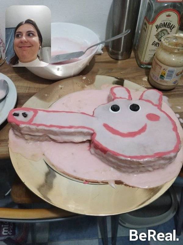 Filming Some Wild Stuff…