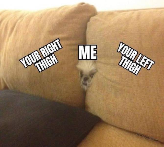 You’re Dirty And You Know It!