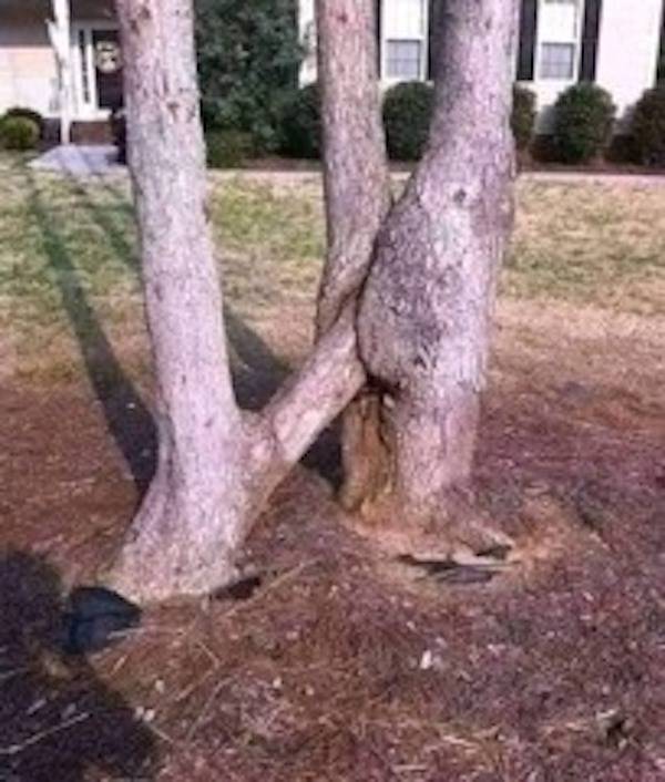 Yep, That’s Pretty Dirty…