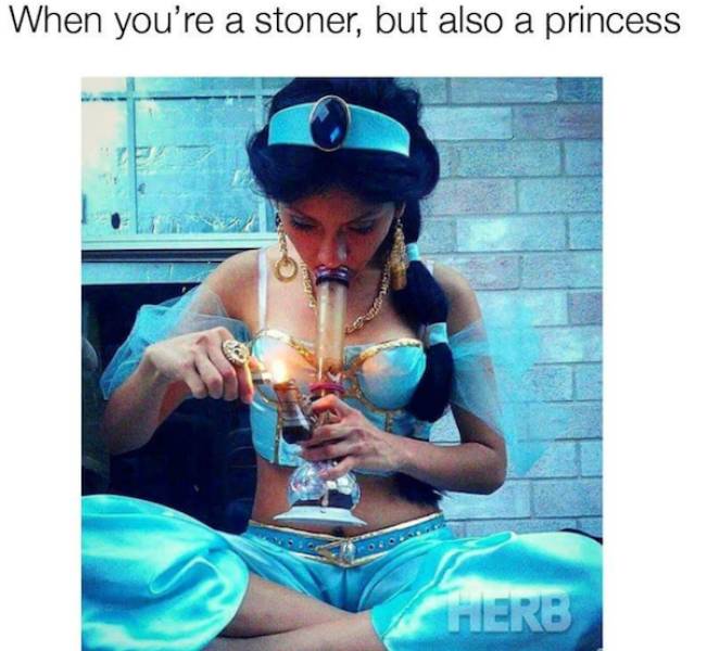 These Stoner Memes Are Already High…