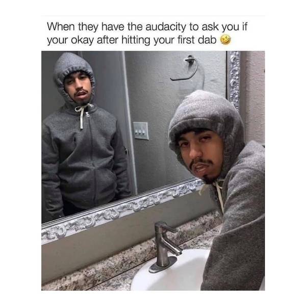 these stoner memes are already high 46 pics 3 gifs 13.html - 46 HD GIF | Premium Gallery 2022