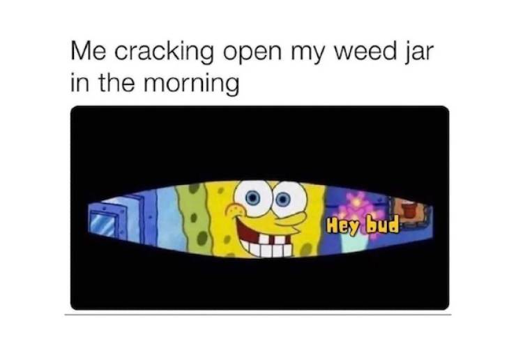 these stoner memes are already high 46 pics 3 gifs 13.html - 46 HD GIF | Premium Gallery 2022