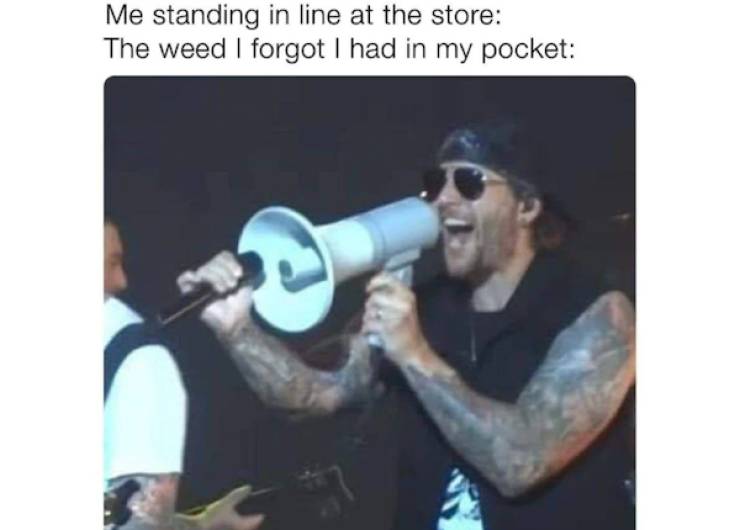 these stoner memes are already high 46 pics 3 gifs 13.html - 46 HD GIF | Premium Gallery 2022