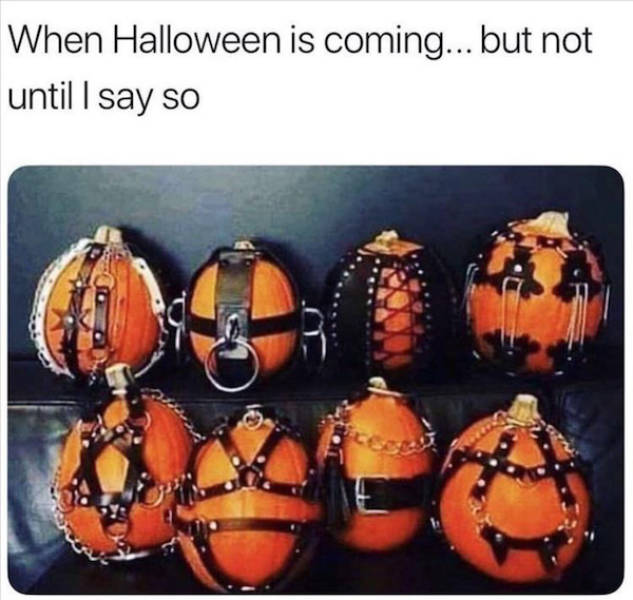 feed your dirty mind 63 pics 12.html - 63 HD Photos | Premium Gallery 2022