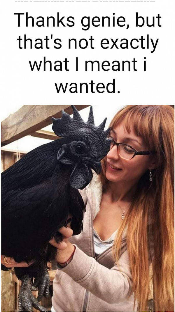 feed your dirty mind 63 pics 12.html - 63 HD Photos | Premium Gallery 2022