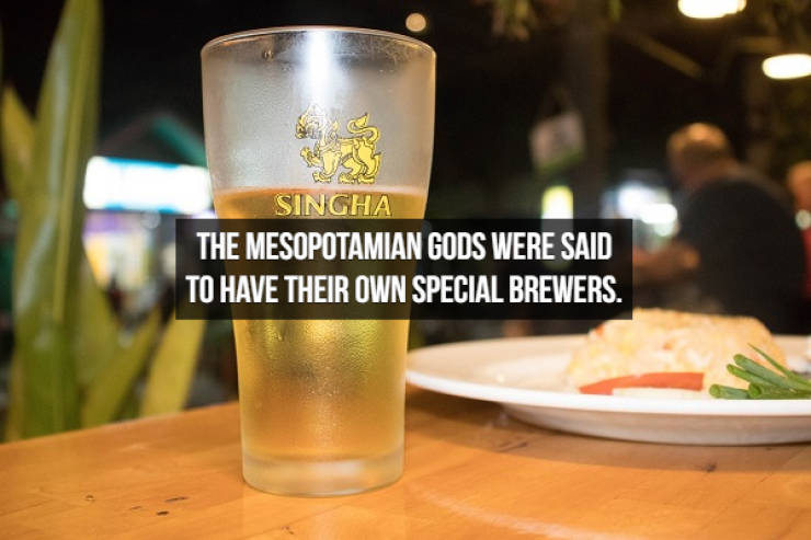 Let’s Brew Up Some Beer Facts!