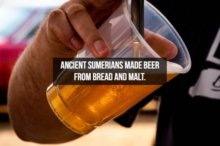 Let’s Brew Up Some Beer Facts!