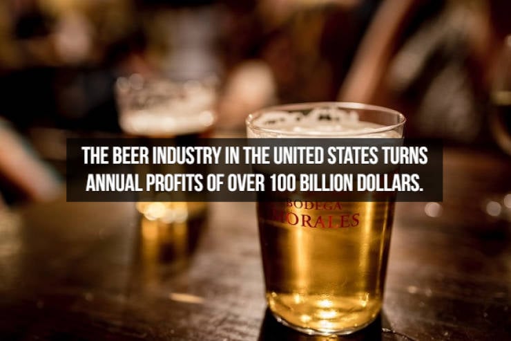 Let’s Brew Up Some Beer Facts!
