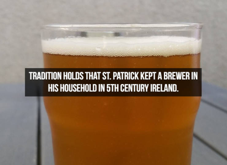 Let’s Brew Up Some Beer Facts!