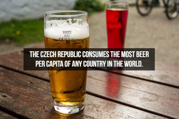 Let’s Brew Up Some Beer Facts!