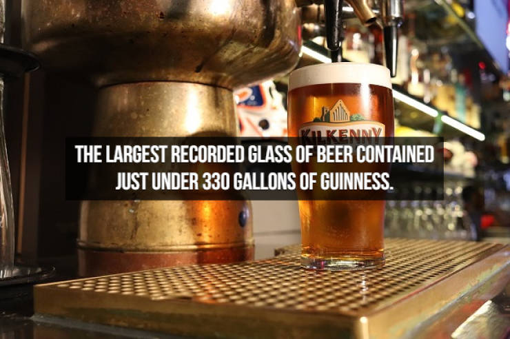 Let’s Brew Up Some Beer Facts!