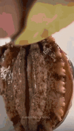 dirty minds only 42 gifs 9.html - 1 HD GIF | Premium Gallery 2022