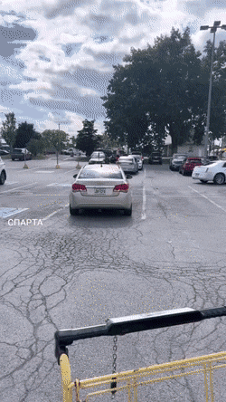 dirty minds only 42 gifs 9.html - 1 HD GIF | Premium Gallery 2022
