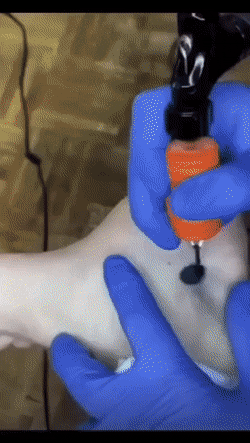 dirty minds only 42 gifs 9.html - 1 HD GIF | Premium Gallery 2022