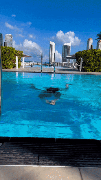 hot girls are here for you 42 gifs 4.html - 1 HD GIF | Premium Gallery 2022