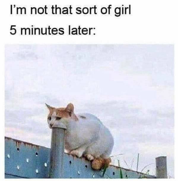 dirty memes only 70 pics 3.html - 70 HD Photos | Premium Gallery 2022